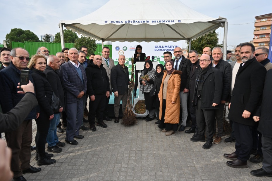 Bursa Büyükşehir’den üreticiye fide ve fidan desteği