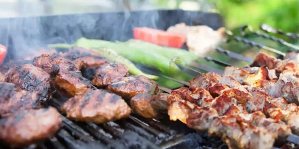 Mangal ve piknik 5 yıl yasaklansın