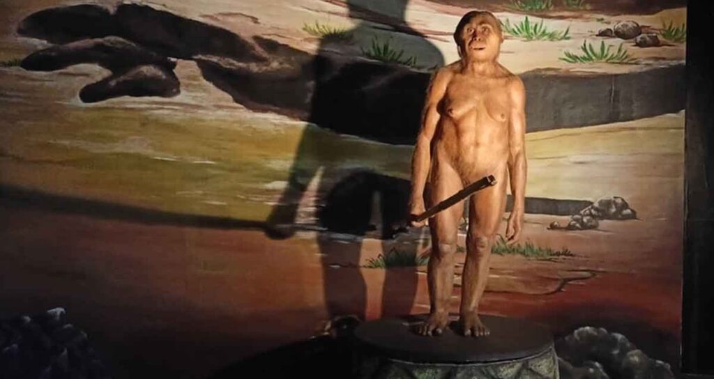 Bilim insanları gizemi çözdü: Hobbitlerinin ortadan kaybolmasının nedeni…