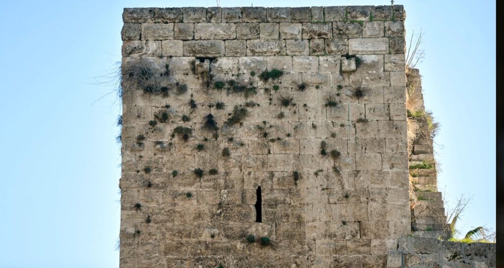 Binlerce yıllık sur ve burçlar ‘yeşerdi’