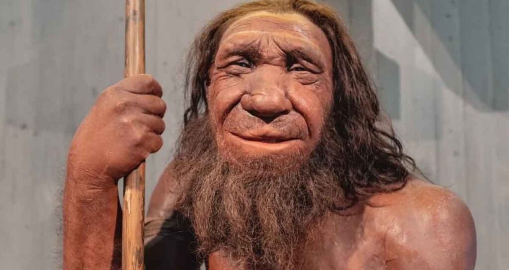 Neandertallerin kanı onların neslinin tükenmesine yol açmış olabilir