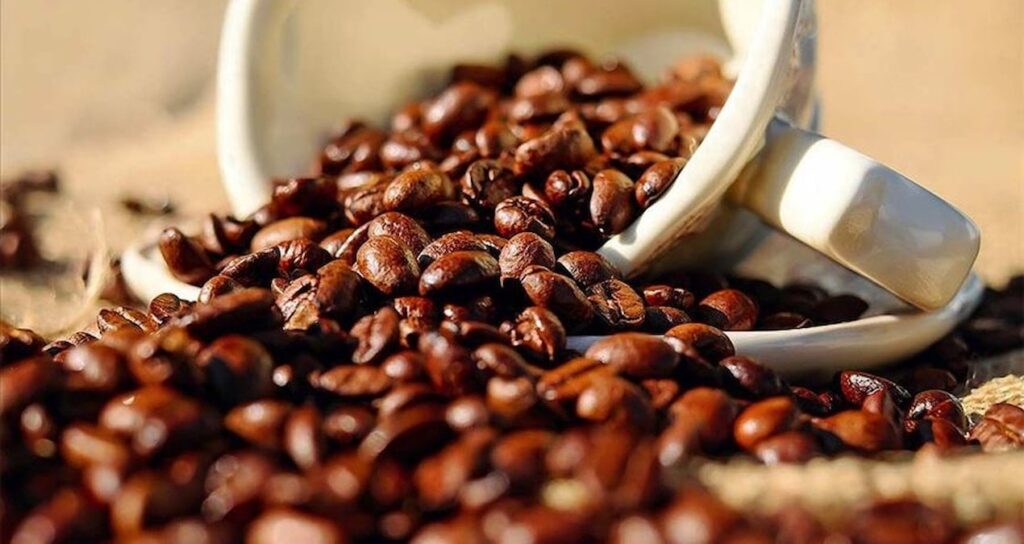 Tarihin en yüksek seviyesine çıktı