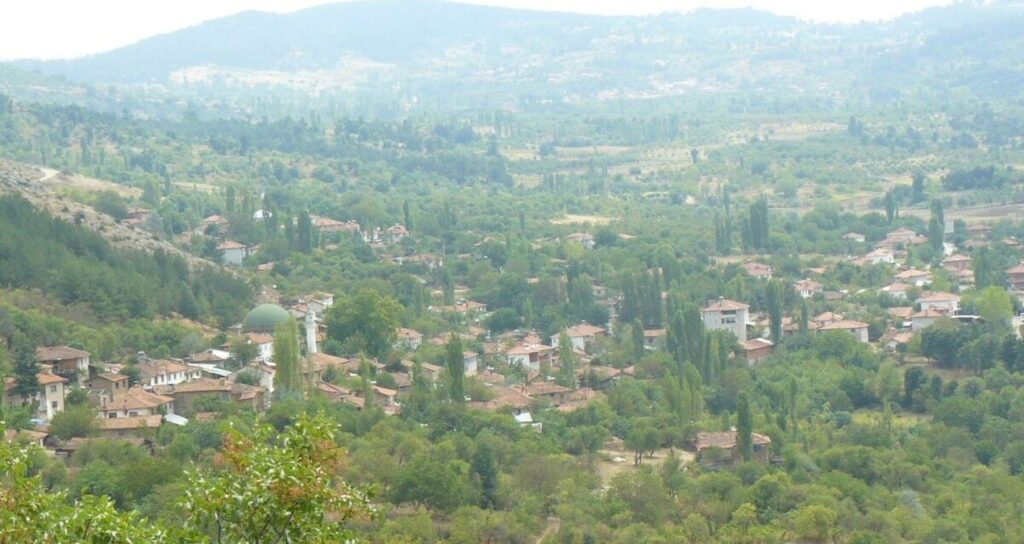 Bakan duyurdu: Kömür ocağı ihalesi iptal edildi