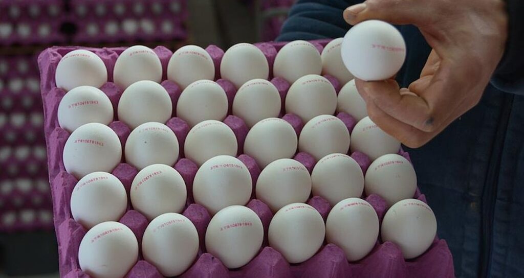 Yumurta fiyatları 8 kat yükseldi