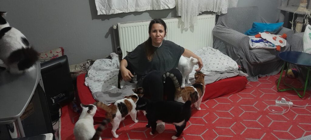 Sokak Canları İçin Kıt Kanaat İmkanlarıyla Mücadele Ediyor!