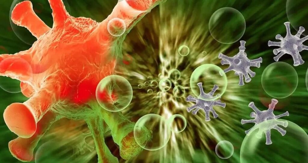 Bilim insanları 6 yeni bakteri cinsi keşfetti