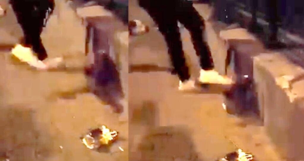 Kedi tekmelerken yakalandı, gözaltına alındı