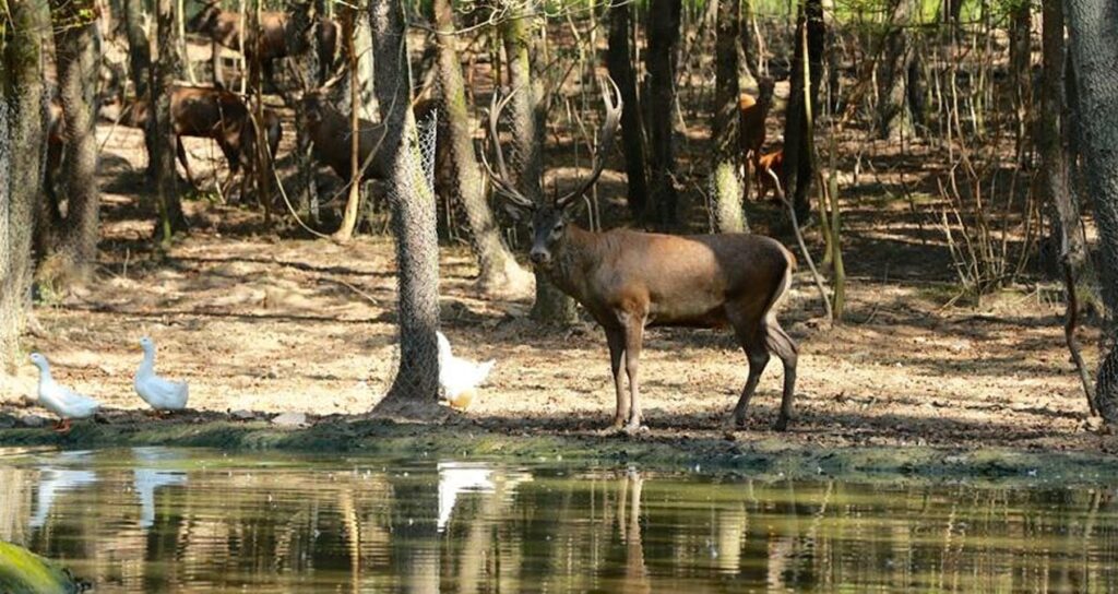Bayramda milli parklar ziyaretçi rekoru kırdı