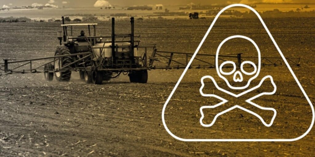 Pazar ve marketten alınan her üç üründen biri zehirli