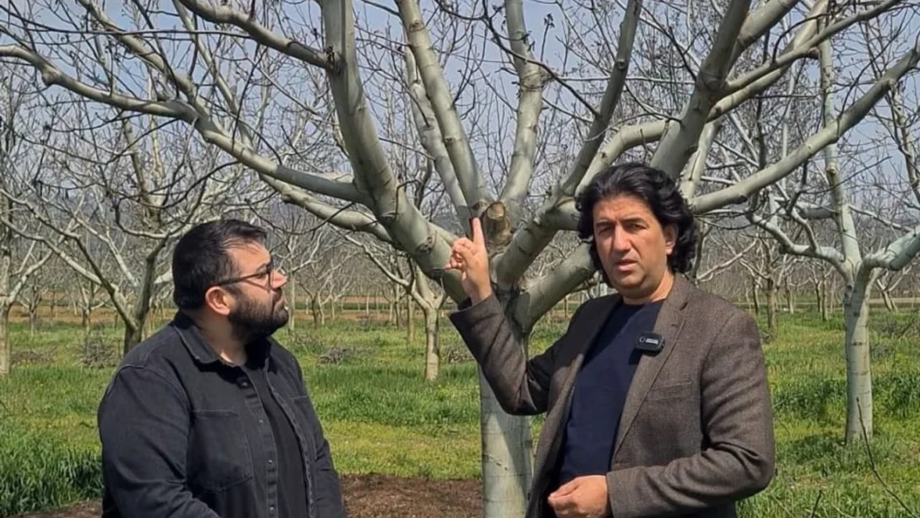 Bursa’daki zirai don sonrası Anahtar Parti’den çağrı!