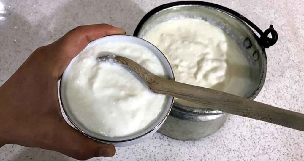 Yoğurda eklenir eklenmez besin değerini 2 katına çıkıyor: Mutfakların şahı işbaşında!