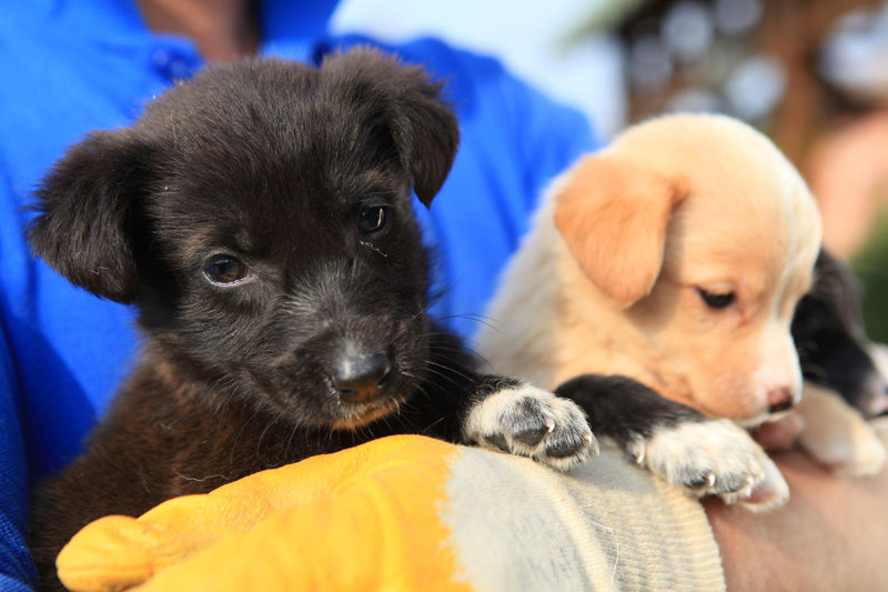 Sanatla yaşam kurtarılabilir.