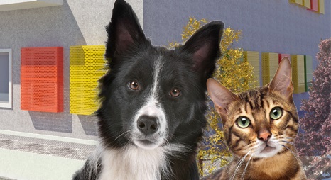 Sedat Akar’dan Sokak Hayvanları Tedavi Merkezi’ne Ziyaret