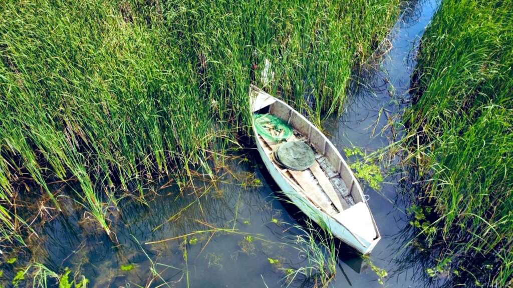 Uluabat Gölü’nde Kaçak Avcılığa Geçit Yok: 30 Kişiye 427 Bin TL Ceza