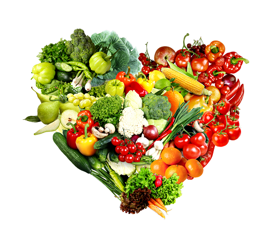 Evrensel İnsani Yardım Federasyonu’ndan Tarım ve Hayvancılığa Stratejik Destek Çağrısı