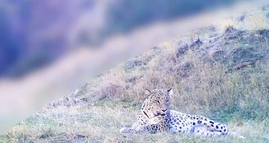 Anadolu’nun gizemli efsanesi bir kez daha görüntülendi