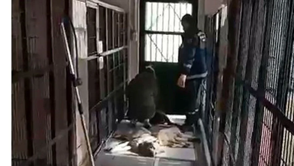 Aydınlık Geleceğin Partisi Genel Başkan Yardımcısı ve Bursa İl Başkanı Ayhan Çolak’tan Osmangazi Barınağı Olayına Sert Tepki