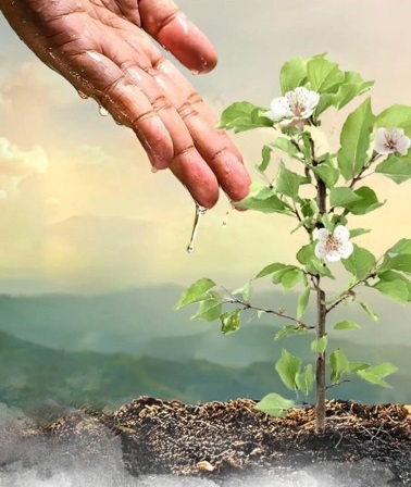 “Yeşil bir geleceğin tohumu, köylünün yüreğinde filizlendi.”