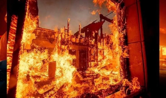 “Yangın Sadece Ormanı Değil, Vicdanları da Yaktı”