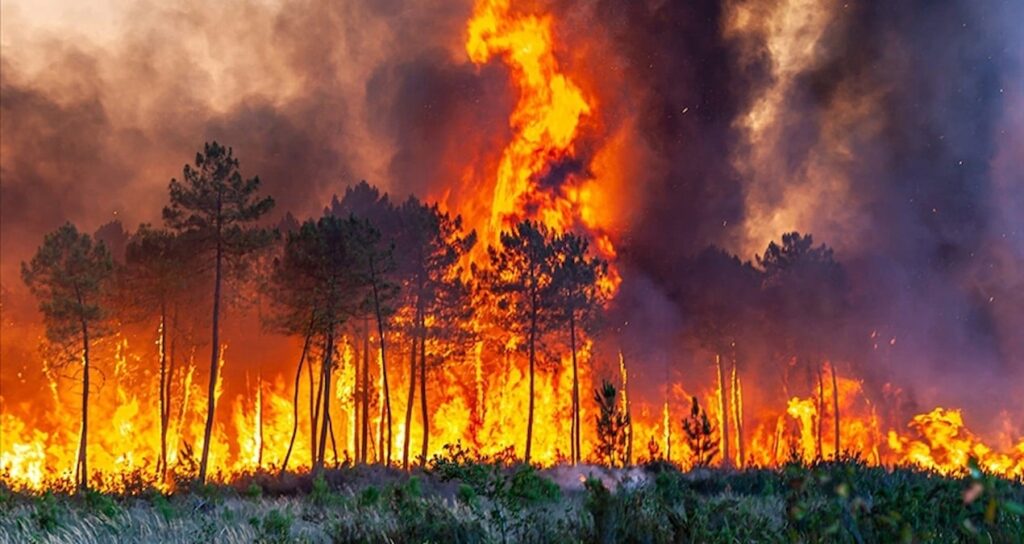 Bakan Yumaklı’dan “orman yangını” uyarısı: