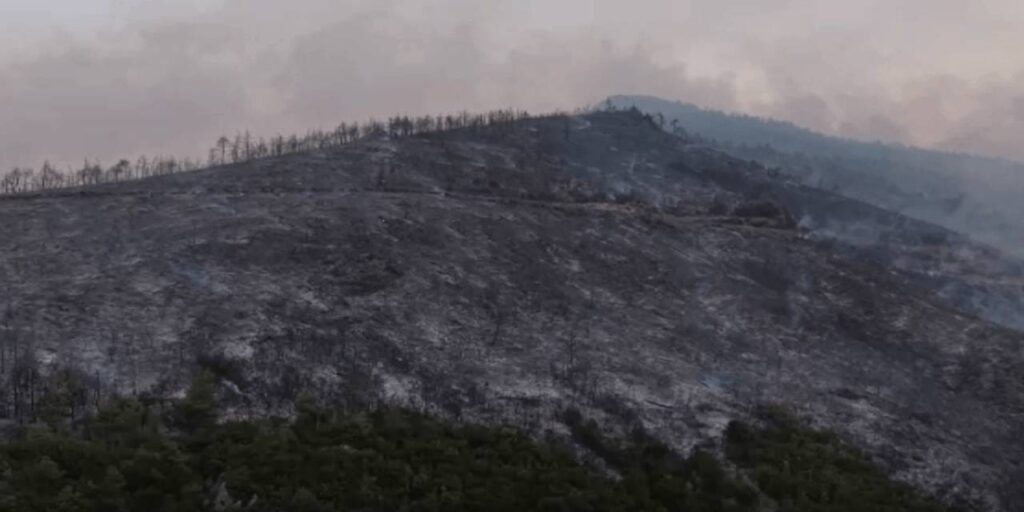 Bursa’daki yangının boyutu!