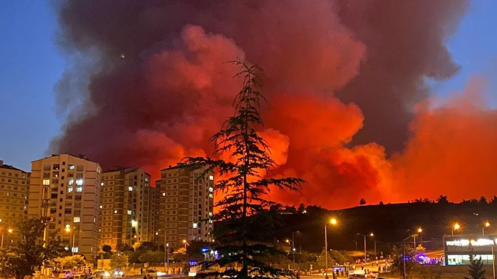 Gürsu Belediye Başkanının Hedef Şaşırtarak Yapmış Olduğu Açıklamayı Kınıyorum!