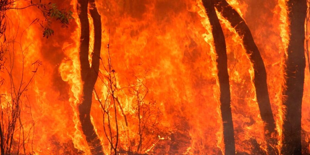 İki bölge çok büyük yangın riski altında!