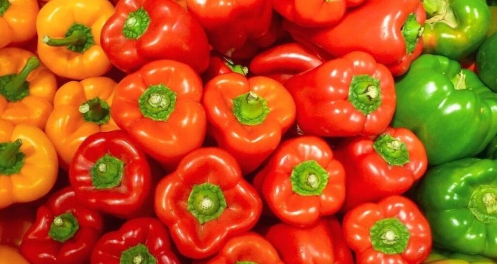 Kırmızı yeşil ve sarı dolmalık biberlerden hangisi daha sağlıklı?