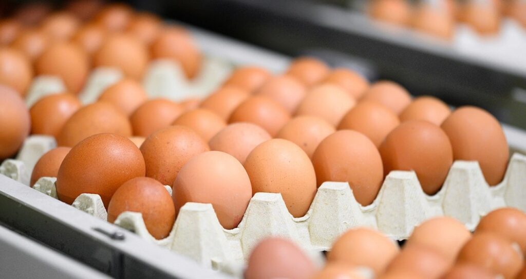 Market raflarında yumurtalara yeni etiket