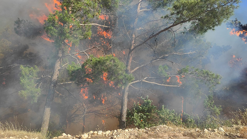 Ülkemize Kurulan Sinsi Tuzak: ÇAM