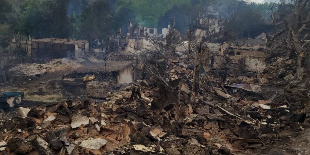 Orman yangınları sonrası bakanlıktan hasar raporu