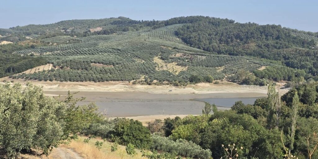 Bursa’da 42 yıldır hizmet veren Çınarlı Göleti tehlikede!