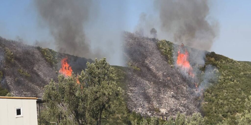 Bursa’da alevler ciğerlerimizi yaktı: 1 kişi gözaltında