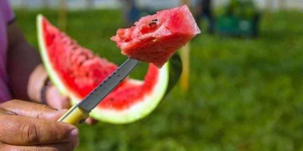 Meyve fiyatı 3 kat arttı!