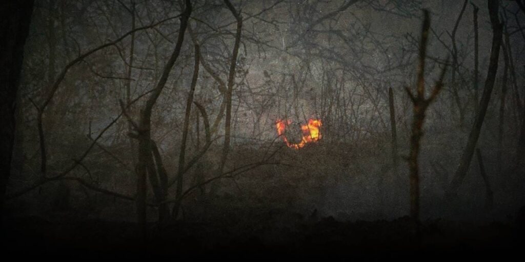 Yanan ormanlarda bunu yapmak artık yasak