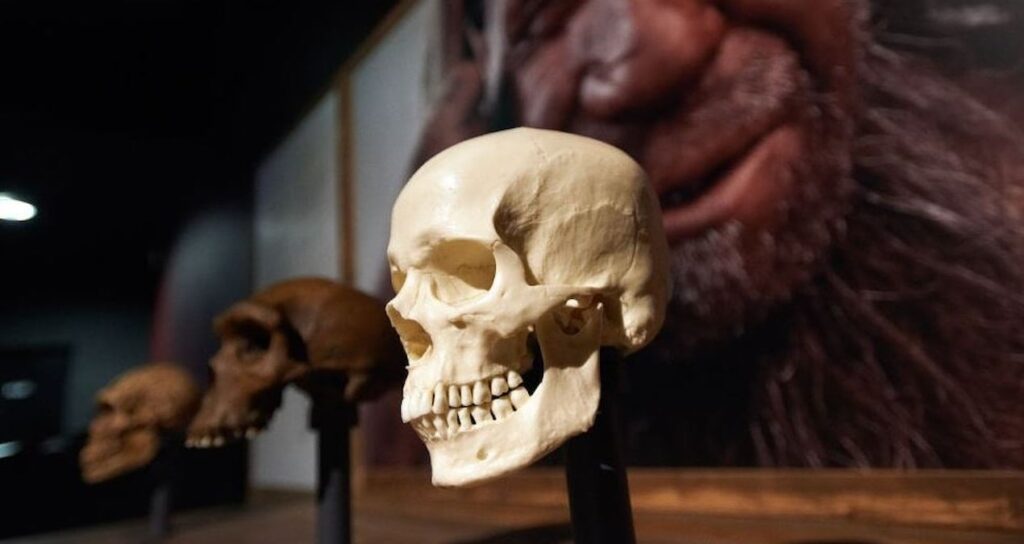 Yeni bir insan ırkı keşfedildi