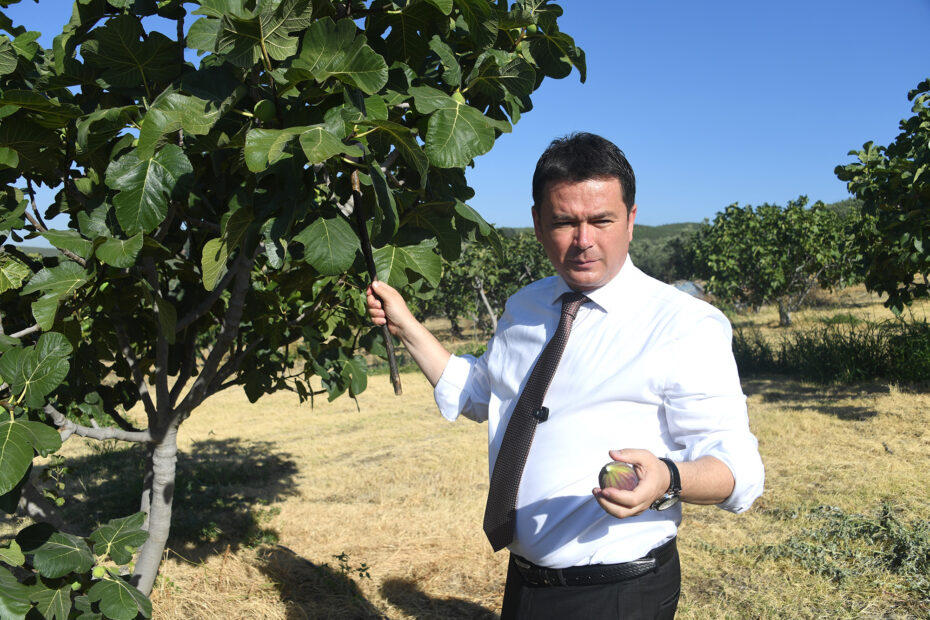 Başkan Aydın’dan Osmangazi Siyah İncir Festivali’ne davet