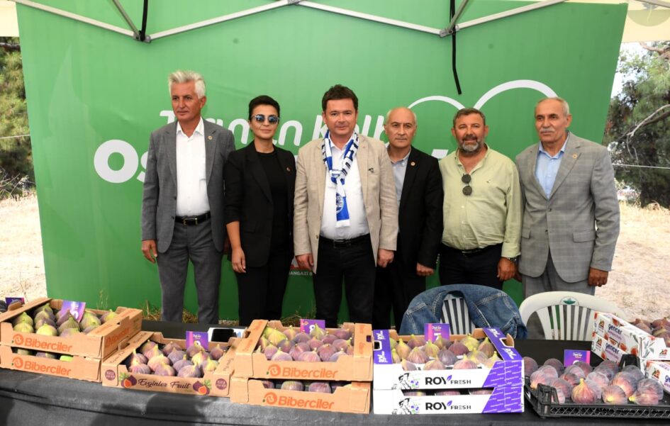 Bursa’nın dünyaca ünlü siyah incirleri Osmangazi’de yarıştı
