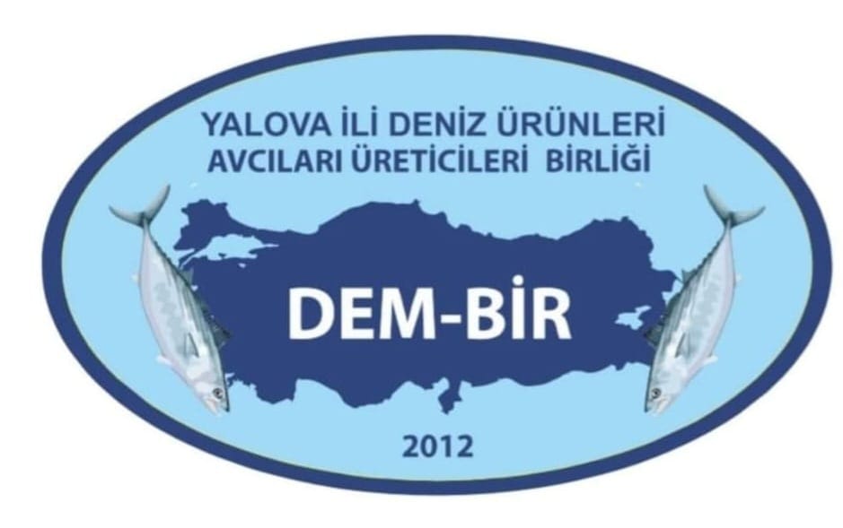 Marmara’da müsilaj yeniden baş gösterdi, balıkçılar endişeli