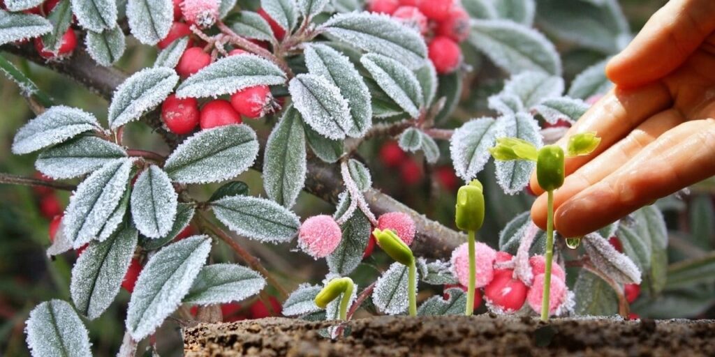 İhracat şampiyonuydu ciddi kayıp bekleniyor