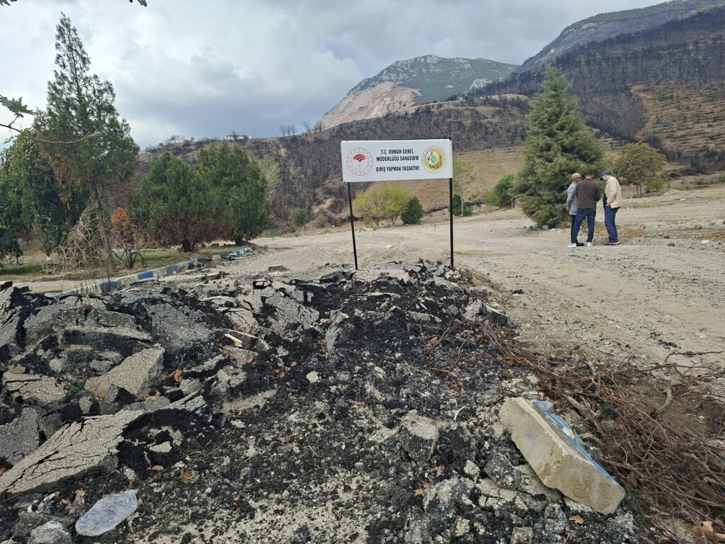Gözümüzü Boyamak İçin Ağaçlandırma Yapacaklar!