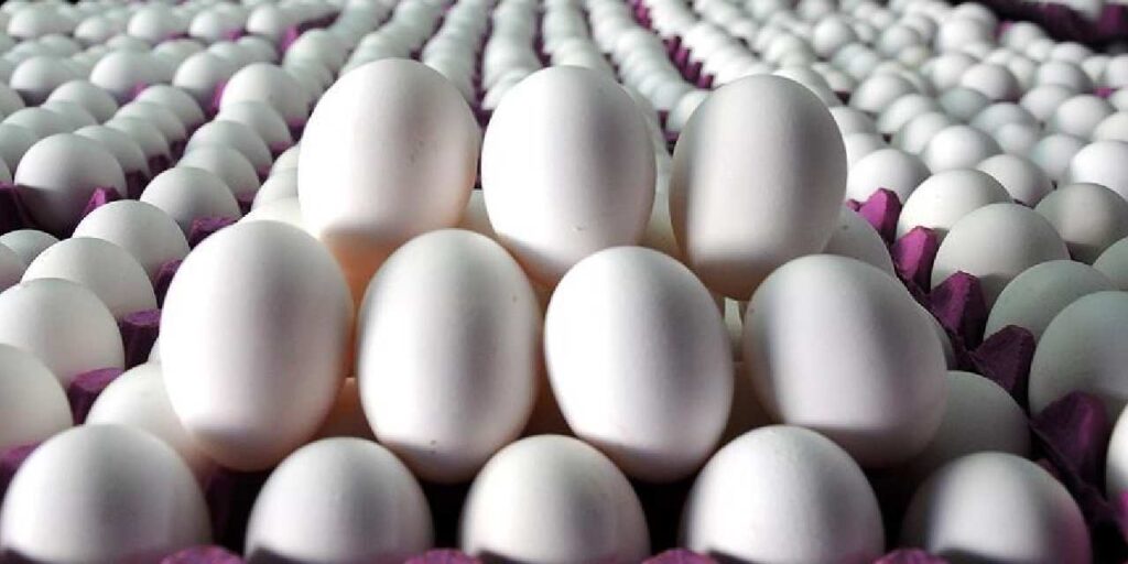 TÜİK açıkladı: Yumurta azaldı