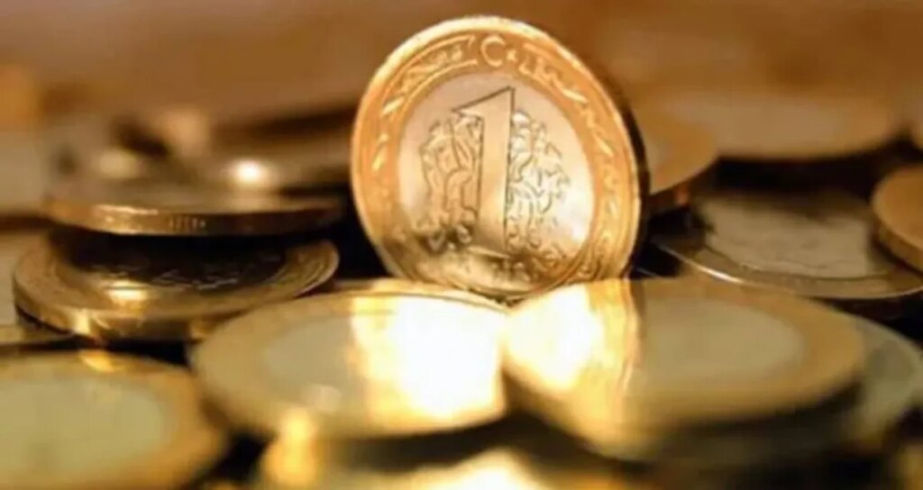 1 liranın maliyeti 4.5 liraya çıktı