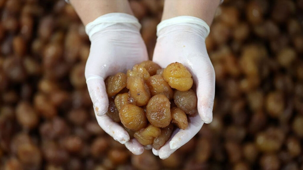 Bursa kestane şekeri ve İpsala pirinci AB’den coğrafi işaret tescili aldı