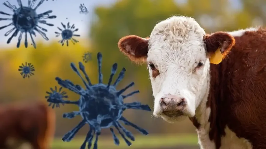 Hayvan Sağlığı Krizi Derinleşiyor: Türkiye Şeffaf Açıklama Bekliyor