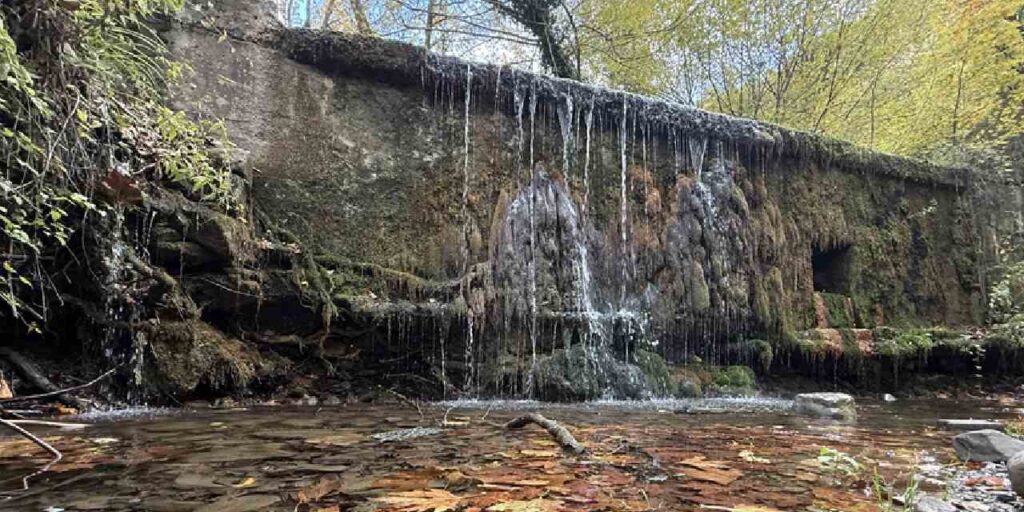 Sonbahar renklerine bürünen ormanlar doğa tutkunlarını bekliyor