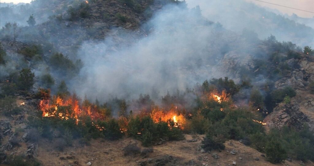 Yangına dirençli ormanlar geliyor