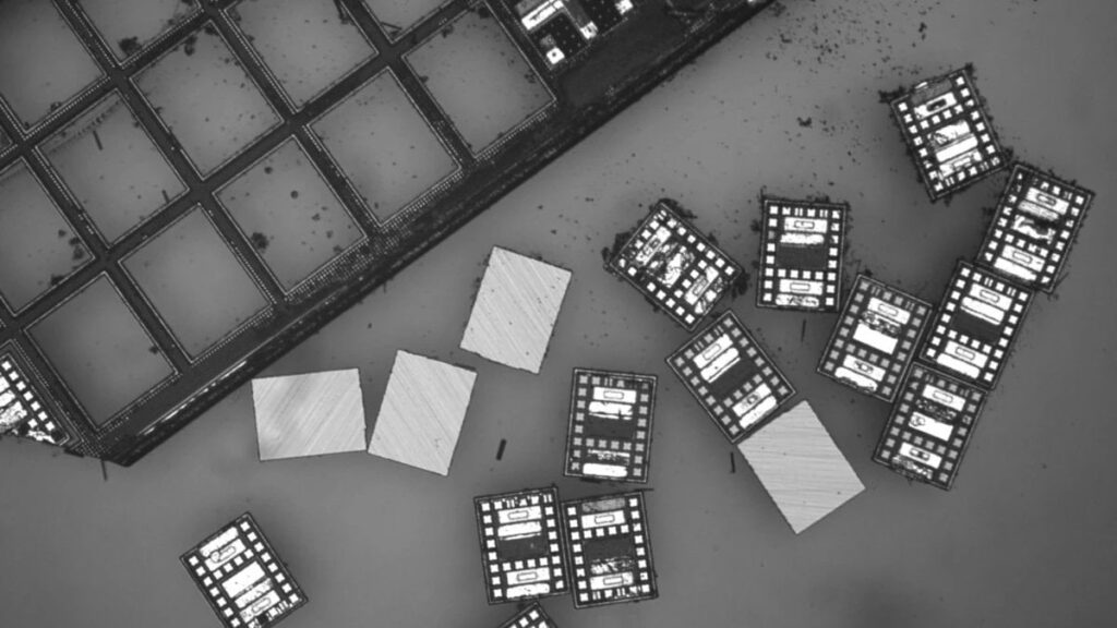 Dünyanın en küçük robotları üretildi