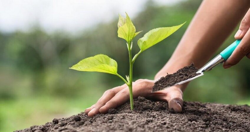 Öğrencilerden Yeşil Vatan’a Anlamlı Katkı
