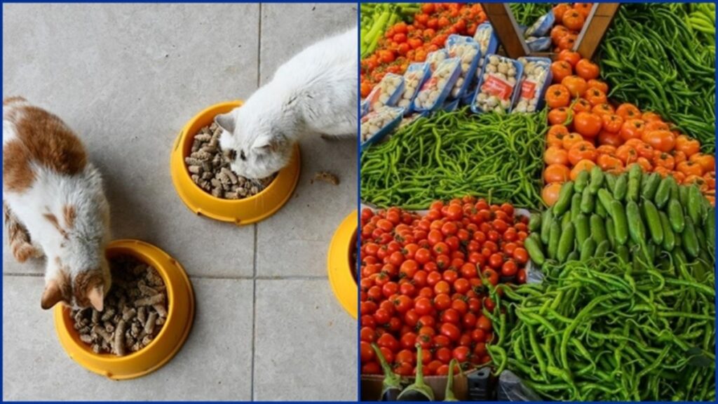 Kasımda fiyatı en çok artan ve azalan ürünler